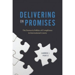Delivering on Promises: The Domestic Politics of Compliance in International Courts
