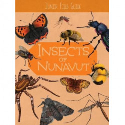 Junior Field Guide: Insects of Nunavut: English Edition