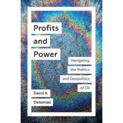 Profits and Power: Navigating the Politics and Geopolitics of Oil