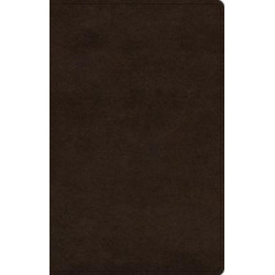 In the Lord I Take Refuge: 150 Daily Devotions through the Psalms