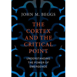 The Cortex and the Critical Point: Understanding the Power of Emergence