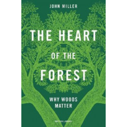 The Heart of the Forest: Why Woods Matter
