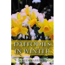 Daffodils in Winter