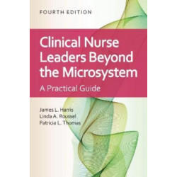 Clinical Nurse Leaders Beyond the Microsystem: A Practical Guide