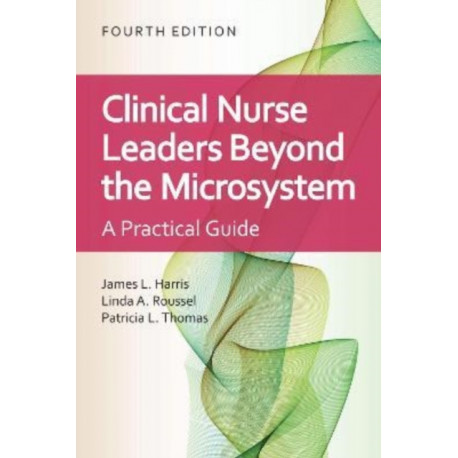 Clinical Nurse Leaders Beyond the Microsystem: A Practical Guide
