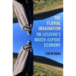 The Fluvial Imagination: On Lesotho’s Water-Export Economy