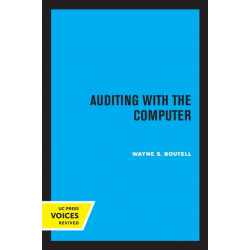 Auditing with the Computer