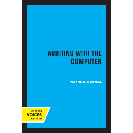 Auditing with the Computer
