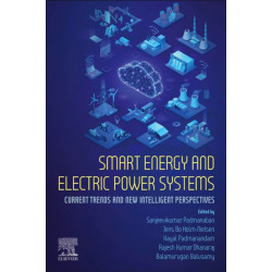 Smart Energy and Electric Power Systems: Current Trends and New Intelligent Perspectives