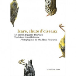 Icare, chute doiseaux