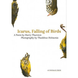 Icarus, Falling of Birds