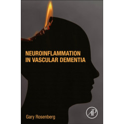Neuroinflammation in Vascular Dementia