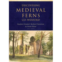 Discovering Medieval Ferns, Co. Wexford