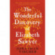 The Wonderful Discovery of Elizabeth Sawyer