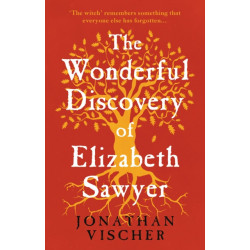 The Wonderful Discovery of Elizabeth Sawyer