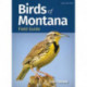 Birds of Montana Field Guide