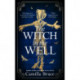 The Witch in the Well: A deliciously disturbing Gothic tale of a revenge reaching out across the years