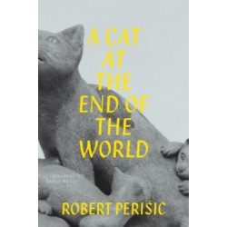 A Cat At the End of the World