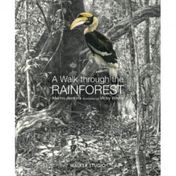A Walk Through the Rainforest