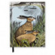 Angela Harding: Rathlin Hares (Blank Sketch Book)