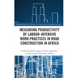 Measuring Productivity of Labour-Intensive Work Practices in Road Construction in Africa