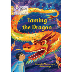 Taming the Dragon: Phase 5 Set 2