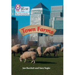 Town Farms: Phase 3 Set 1