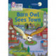 Barn Owl Sees Town: Phase 3 Set 1 Blending Practice