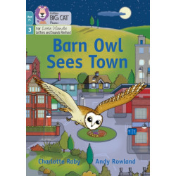 Barn Owl Sees Town: Phase 3 Set 1 Blending Practice
