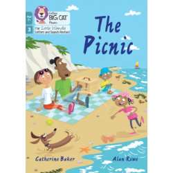 The Picnic: Phase 3 Set 1 Blending Practice