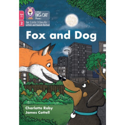 Fox and Dog: Phase 2 Set 5 Blending Practice