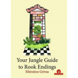 Your Jungle Guide to Rook Endings