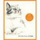 For the Love of Cats: 20 Individual Notecards and Envelopes: 20 Individual Notecards and Envelopes