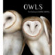 OWLS THE PAINTINGS OF JEANNINE CHAPPELL