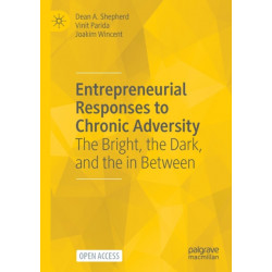 Entrepreneurial Responses to Chronic Adversity: The Bright, the Dark, and the in Between