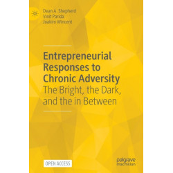 Entrepreneurial Responses to Chronic Adversity: The Bright, the Dark, and the in Between