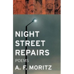 Night Street Repairs: Poems