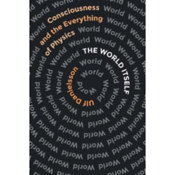 The World Itself: Consciousness and the Everything of Physics