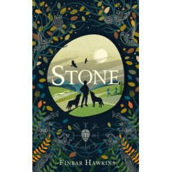 Stone: A story of fathers and sons, magic and witchcraft