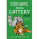 Escape from the Cattery- Plan B