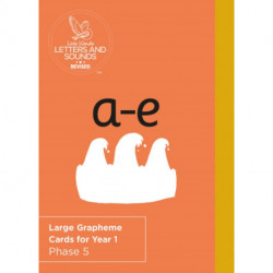 Large Grapheme Cards for Year 1: Phase 5