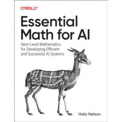 Essential Math for AI: Next-Level Mathematics for Efficient and Successful AI Systems