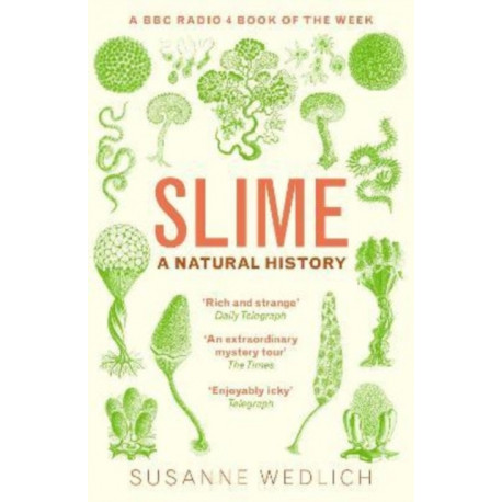 Slime: A Natural History