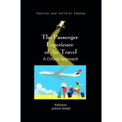 The Passenger Experience of Air Travel: A Critical Approach