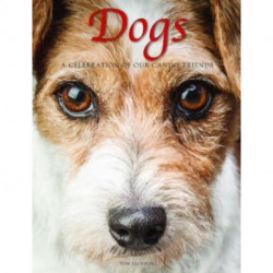Dogs: A Celebration of our Canine Friends