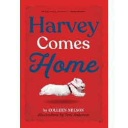 Harvey Comes Home