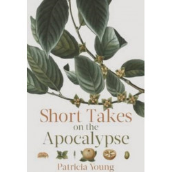 Short Takes on the Apocalypse