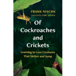 Of Cockroaches and Crickets: Learning to Love Creatures That Skitter and Jump