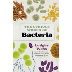 The Curious World of Bacteria: A Curious Collection from a Microscopic World
