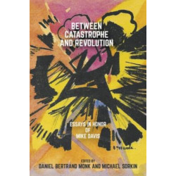 Between Catastrophe and Revolution: Essays in Honor of Mike Davis